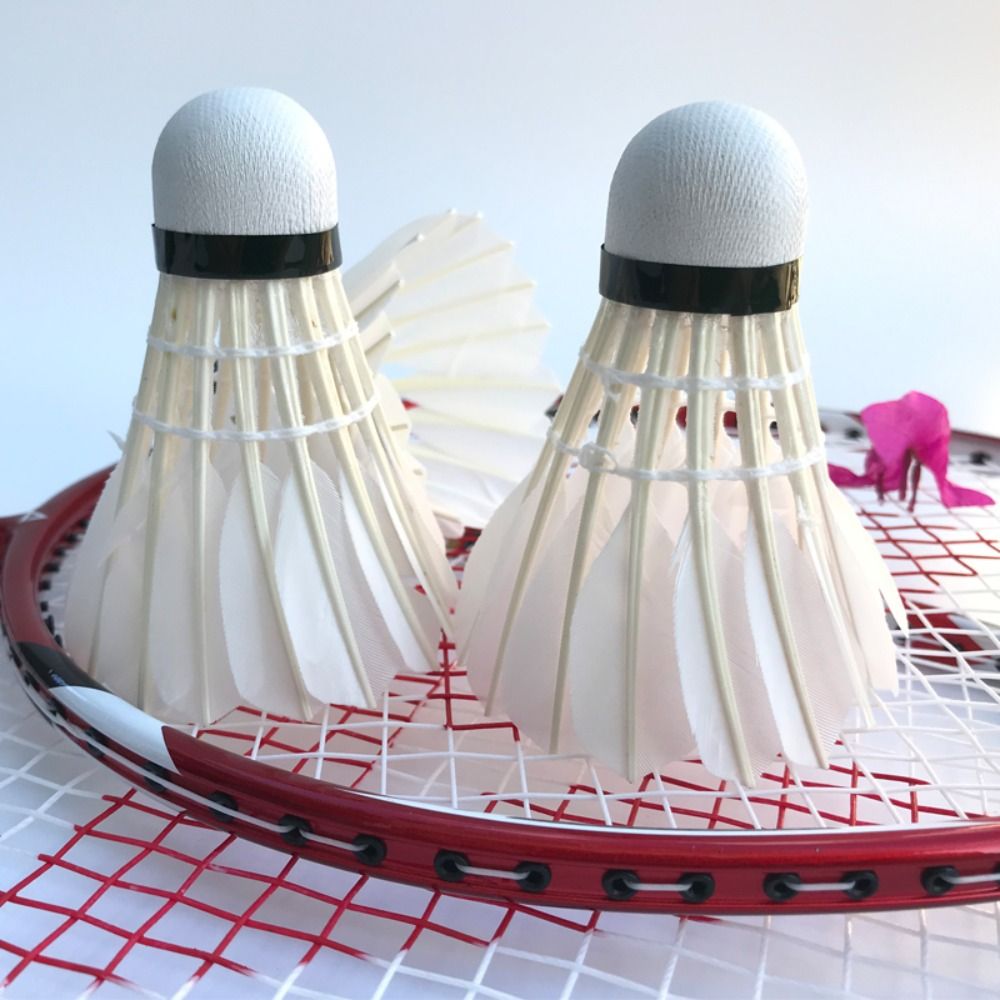 새로운 흰색 거위털 배드민턴 셔틀콕 전문가용 안정적인  - Feather Shuttlecock 리뷰 및 가격